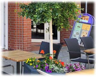 06.23.2025-Birke-mit-blumen 06.23.2025-Birke-mit-blumen