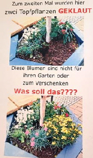 07.2025-wieder-wg.-Blumen-B 07.2025-wieder-wg.-Blumen-B